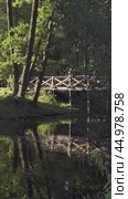 A wooden bridge over a stream in the evening park. A natural sketch. Стоковое видео, видеограф Ярославский Максим / Фотобанк Лори