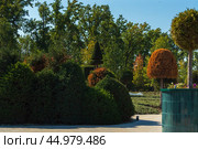 Парк Галицкого, Парк облаков, Краснодар. Стоковое фото, фотограф Елена Букия / Фотобанк Лори