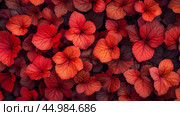 Vibrant leaves of red and orange plants densely cover the ground in an autumn garden during a sunny afternoon. Стоковое AI-изображение, AI-художник Сергей Толмачёв / Фотобанк Лори