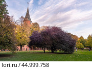 Konigsberg Cathedral on Kanta or Kneiphof Island. Kaliningrad. Russia (2021 год). Редакционное фото, фотограф Elena Odareeva / Фотобанк Лори