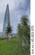 SAINT PETERSBURG, RUSSIA - September 27, 2024: Vertical video from new East Park with green trees to the 87 - story skyscraper Lakhta Center - popular city landmark and tourists attraction. Редакционное видео, видеограф Виктория Катьянова / Фотобанк Лори