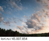 Южный Урал. Силуэты сосен на фоне закатного неба. The Southern Urals. Silhouettes of pine trees against the sunset sky. Стоковое фото, фотограф Евгений Романов / Фотобанк Лори