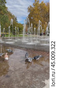 ANGARSK, IRKUTSK REGION, RUSSIA - October 02, 2024: Townspeople love to relax in Family Square with beautiful fountain, and pigeons also walk on water on sunny autumn day. Vertical video. Редакционное видео, видеограф Виктория Катьянова / Фотобанк Лори