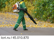 Cleaning falling leaves on a city street in the autumn dry time. Using leaf blower for cleaning of the road in the park. Seasonal occupation concept. Стоковое фото, фотограф YuryKara / Фотобанк Лори