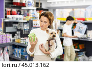 Woman selecting dry dog food for Yorkie in pet store. Стоковое фото, фотограф Яков Филимонов / Фотобанк Лори