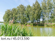 Залив на реке Сестре. Стоковое фото, фотограф Алёшина Оксана / Фотобанк Лори