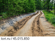 Колея грунтовой дороги. Остров Ольхон. Стоковое фото, фотограф Александр Тараканов / Фотобанк Лори