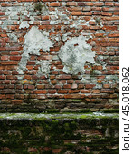 Efflorescence is a whitish trace on the surface of brickwork, represented by a mixture of chemical compounds of salts. Mold on a wet wall, lichens, moss. Стоковое AI-изображение, AI-художник Сергей Елизарьев / Фотобанк Лори