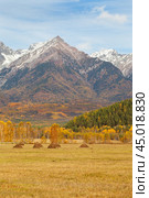 Scenic rural autumn landscape with yellow meadows and haystacks against background of snow-capped mountains of Eastern Sayan on sunny October day. Buryatia, Baikal region, Tunka Valley, Arshan. Стоковое фото, фотограф Виктория Катьянова / Фотобанк Лори