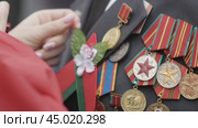 Gomel, Belarus - 09/05/2019: Female hands fasten a memorial sign on the chest of a war veteran, many medals and orders on the chest (2020 год). Редакционное видео, видеограф Дмитрий Нечаев / Фотобанк Лори