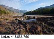 A log lies on the rocks on the bank of the Katun River in Altai. On background Altai village Elanda. Стоковое фото, фотограф Сергей Пристяжнюк (Serg Zastavkin) / Фотобанк Лори