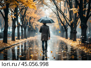 Rainy autumn weather. A man under an umbrella walks along an autumn alley in the park. Стоковое AI-изображение, AI-художник Photojuli / Фотобанк Лори