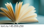 Open Book with Pages Fanned Out in Soft Focus, AI. Стоковое AI-изображение, AI-художник Сергей Старуш / Фотобанк Лори