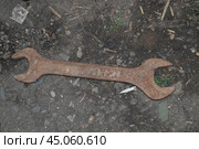 Big old wrench. Стоковое фото, фотограф Andrew_Swarga / Фотобанк Лори