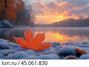Осень, первые заморозки, замерзший в воде кленовый лист. Природный фон. Стоковое AI-изображение, AI-художник Щеголева Ольга / Фотобанк Лори