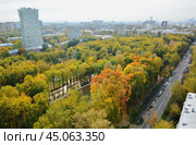Вид на Бабушкинский парк культуры и отдыха в Москве осенью (Лосиноостровский район) Стоковое фото, фотограф Александр Замараев / Фотобанк Лори