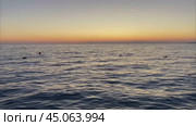 Peaceful seascape with calm sea at sunset. Умиротворяющий морской пейзаж со спокойным морем на закате. Стоковое видео, видеограф Ольга Петрова-Апостолова / Фотобанк Лори