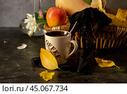 Decoration of a table for autumn holidays. Стоковое фото, фотограф Татьяна Ляпи / Фотобанк Лори