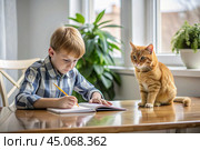 Education and training. A little boy is doing his homework. The student does her schoolwork at home. A red-haired cat is sitting next to me. Стоковое AI-изображение, AI-художник Photojuli / Фотобанк Лори