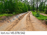 Колея грунтовой дороги. Остров Ольхон. Стоковое фото, фотограф Александр Тараканов / Фотобанк Лори