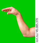 human arm gesturing with raised fingers against a bright green backdrop. Стоковое фото, фотограф Сергей Толмачёв / Фотобанк Лори