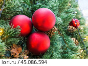 Три ярких красных шара на новогодней елке.  Christmas and New Year holiday background. Стоковое фото, фотограф Лариса Гордеева / Фотобанк Лори