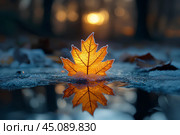 Осень, первые заморозки, замерзший кленовый лист. Природный фон. Стоковое AI-изображение, AI-художник Щеголева Ольга / Фотобанк Лори