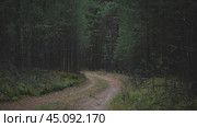 Дорога в темном лесу. Редакционное фото, фотограф Last Fast / Фотобанк Лори