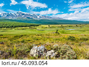 Пейзаж в долине реки Куркурек и озера Джангысколь в предгорье Северо-Чуйского хребта. Урочище Ештыкель, Кош-Агачский район горного Алтая. Стоковое фото, фотограф Евгений Мухортов / Фотобанк Лори