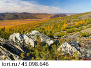 Живописный осенний горный пейзаж. Красивая арктическая природа. Скалы, кедровый стланик и лиственницы на склоне сопки. Осенний сезон на Крайнем Севере. Хребет Кепервэней, Чукотка, Россия. Стоковое фото, фотограф Андрей Степанов / Фотобанк Лори