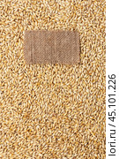 Tag made of burlap lies against the backdrop of barley. Стоковое фото, фотограф Александр Собко / Фотобанк Лори