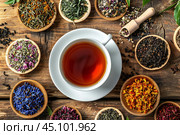 Top view of Soothing hot Tea in white cup surround with various pile of dry tea and herbal flowers on wooden background , created by ai. Стоковое AI-изображение, AI-художник Виталий Сова / Фотобанк Лори