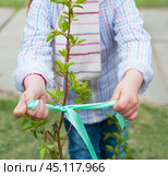 Kids hands tie ribbon on sapling. Стоковое фото, фотограф Александр Подшивалов / Фотобанк Лори