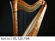 Elegant harp standing in front of black background. Стоковое AI-изображение, AI-художник Иван Рябоконь / Фотобанк Лори
