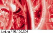 Abstract structure pulsating and flowing in red color. Стоковое видео, видеограф Данил Руденко / Фотобанк Лори
