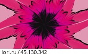 Pink flower rotating creating a psychedelic pattern. Стоковое видео, видеограф Данил Руденко / Фотобанк Лори