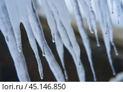 Photography of icicles hang on the roof top.Concept of the beauty in nature. Transparent natural material. Natural cold background. In the city it is life threatening. Falling icicles - threat to life. Стоковое фото, фотограф YuryKara / Фотобанк Лори