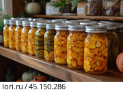 A shelf with neatly arranged jars of homemade preserves. The jars contain pickled or preserved vegetables and fruits, mostly in yellow-orange tones, such as peaches, pumpkins and cucumbers. Glass jars with metal lids are tightly closed, creating a feeling of coziness and care for winter supplies. In the background, you can see other elements of rustic decor, such as dried herbs and pumpkins. The photo conveys an atmosphere of home comfort, naturalness and love for homemaking. Стоковое AI-изображение, AI-художник Анна Кривицкая / Фотобанк Лори