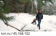 Father and Son in winter snow forest walking. Happy man is pulling child on sled. Dad sledding son. Стоковое видео, видеограф Марина Демидюк / Фотобанк Лори