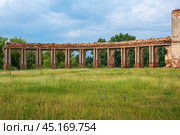 Развалины дворца в Ружанах, Беларусь. Стоковое фото, фотограф Александр Салук / Фотобанк Лори