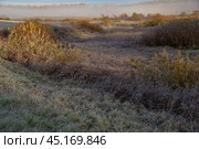 Морозное осеннее утро. Пушкиногорье, Псковская область. Редакционное фото, фотограф Анна Карасева / Фотобанк Лори