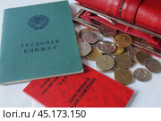 Трудовая книжка и пенсионное удостоверение с монетами и кошельком. Стоковое фото, фотограф Сергей Овчинников / Фотобанк Лори