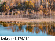 Золотая осень на берегу Городищенского озера. Изборск. Псковская область. Редакционное фото, фотограф Виктор Карасев / Фотобанк Лори