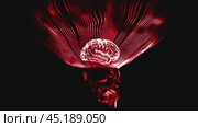 Human brain glowing surrounded by red energy. Стоковое видео, видеограф Данил Руденко / Фотобанк Лори