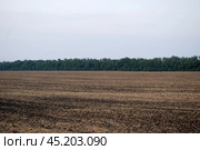 A field where the harvest has been reaped. Стоковое фото, фотограф Andrew_Swarga / Фотобанк Лори