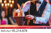 Magician performing classic rabbit from hat trick on stage. Стоковое AI-изображение, AI-художник Юрий Поздников / Фотобанк Лори
