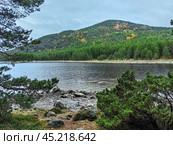 Serene autumn landscape at Kandalaksha, Kola Peninsula with tranquil waters of White sea and vibrant foliage. Стоковое фото, фотограф Александра Селина / Фотобанк Лори