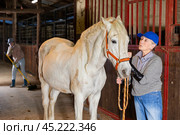 Older woman rancher caressing white racehorse after riding. Стоковое фото, фотограф Яков Филимонов / Фотобанк Лори