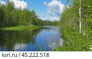landscape with river and forest in Karelia. Стоковое видео, видеограф Михаил Коханчиков / Фотобанк Лори
