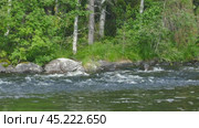 landscape with river and forest in Karelia. Стоковое видео, видеограф Михаил Коханчиков / Фотобанк Лори